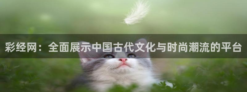 PG电子体育f开号：彩经网：全面展示中国古代文化与时尚潮流的平台