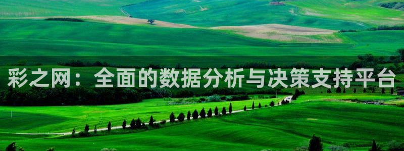 PG电子登录注册：彩之网：全面的数据分析与决策支持平台