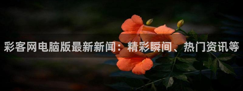 PG电子3代理：彩客网电脑版最新新闻：精彩瞬间、热门资讯等